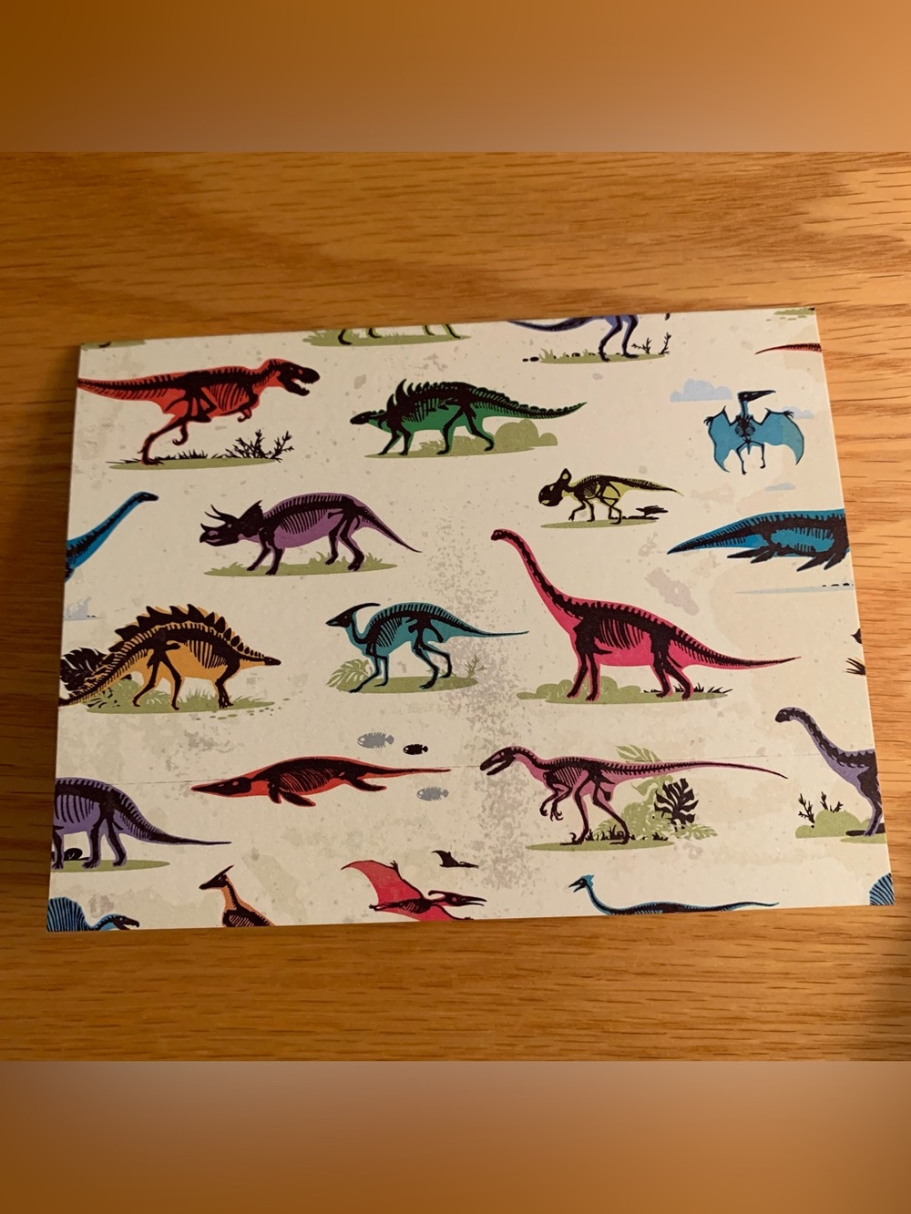 12 Stamped Dinosaur blank notecards - Picture 2 of 10